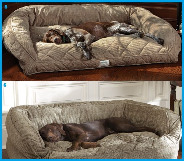 Dog beds that humans would want to sleep in | bark&amp;bert