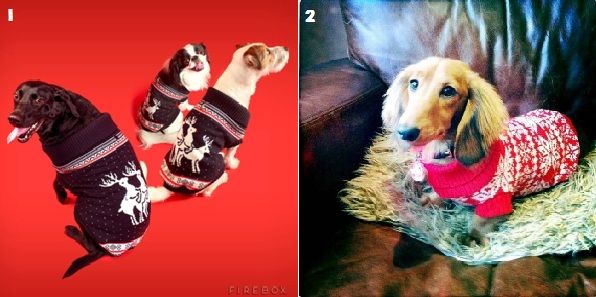 Xmas Jumpers For Dogs and Humans | bark&amp;bert