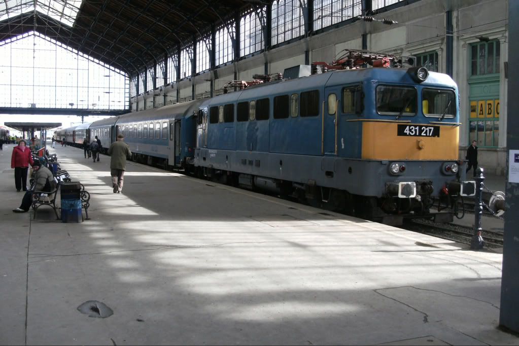 41862200.jpg