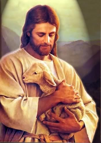 THE LAMB OF GOD Pictures, Images and Photos