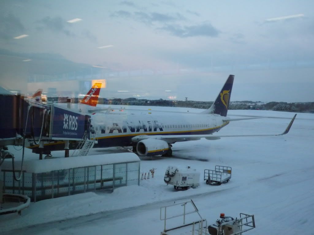 P1080033.jpg