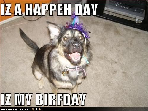 happy birthday funny dog. Happy Birthday!