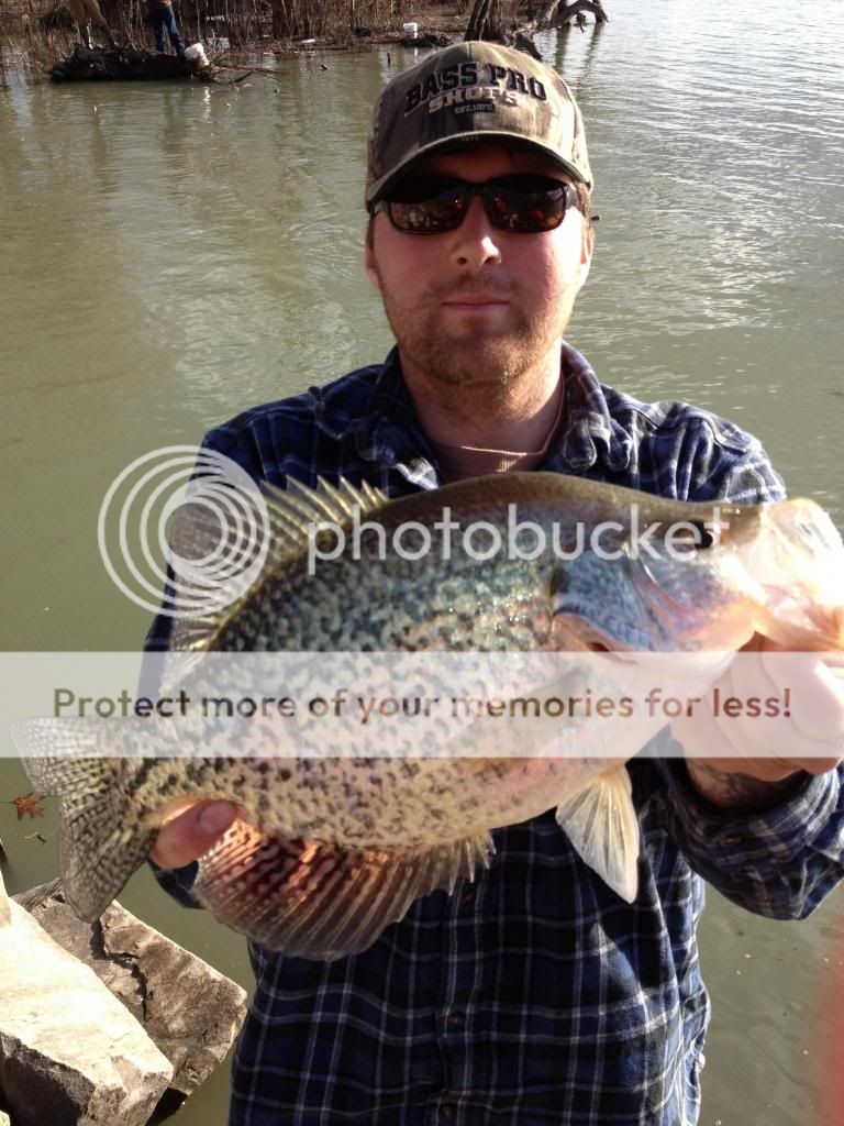 Huge Vermont Hybrid Crappie