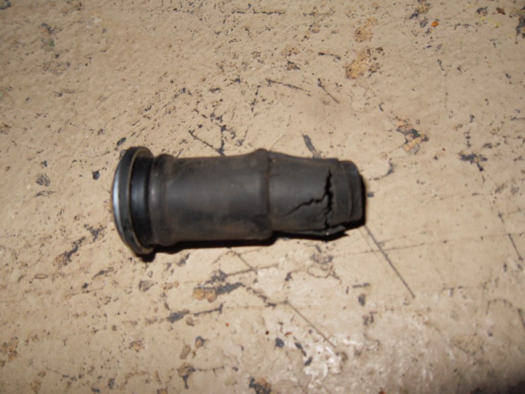  photo SDC12568_zpsevpndbqq.jpg