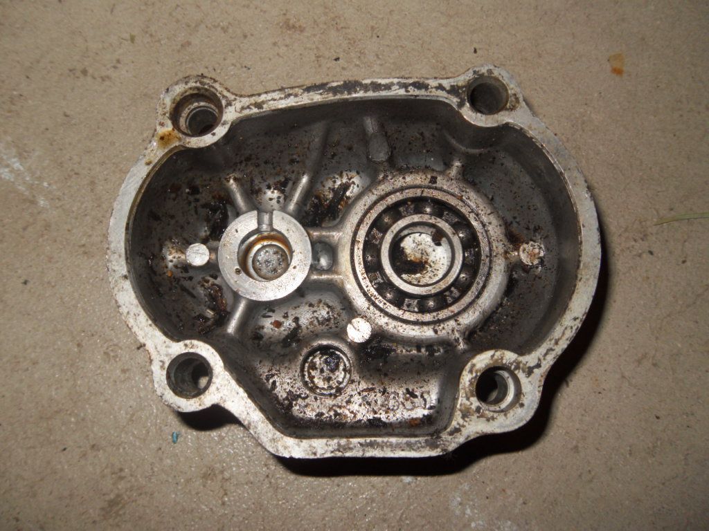  photo SDC13255_zpswjdppmho.jpg