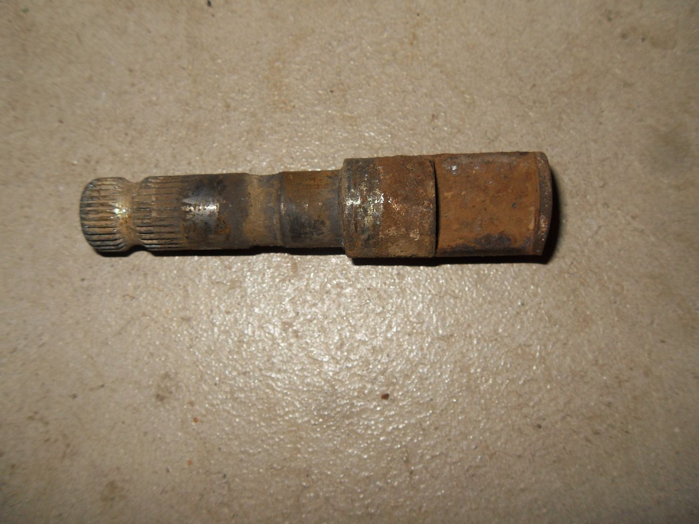  photo SDC16306_zps2jyqeubr.jpg