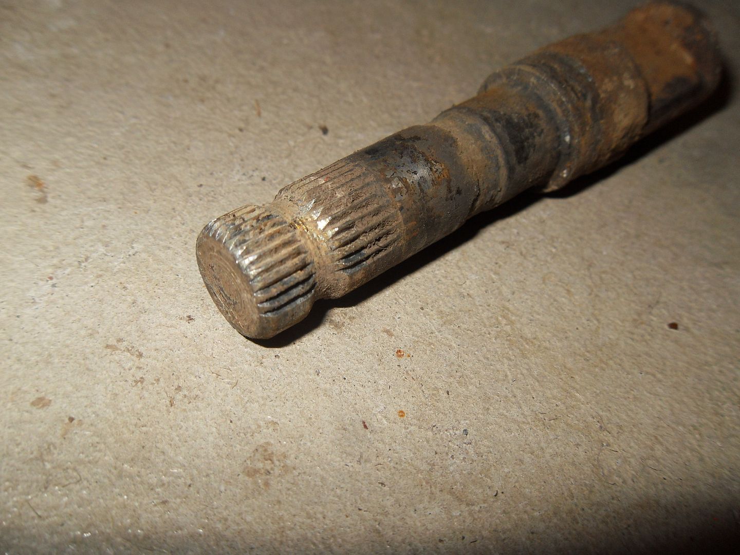  photo SDC16307_zpsl6dzdckm.jpg