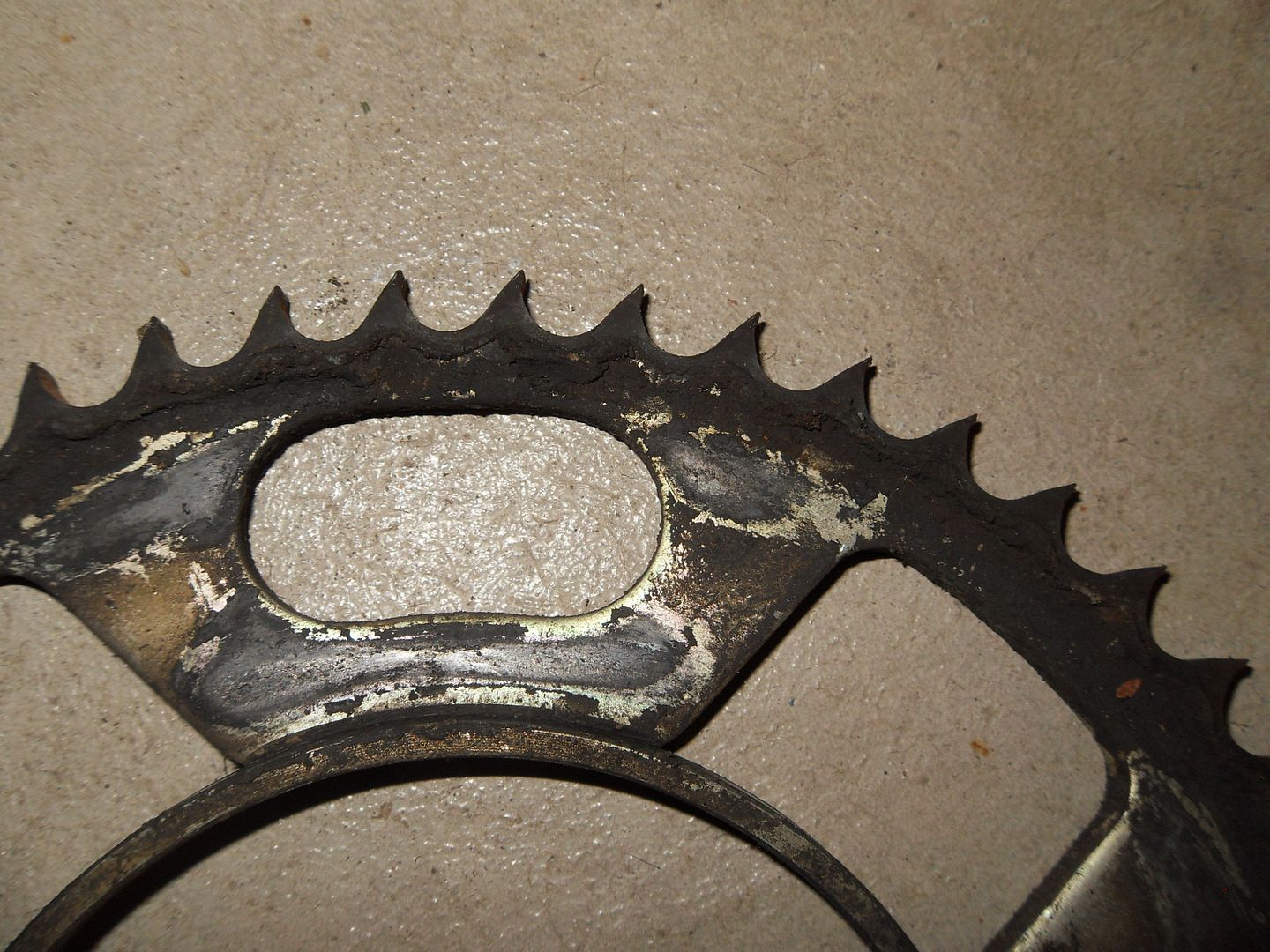  photo SDC16338_zpszjsw8lxy.jpg